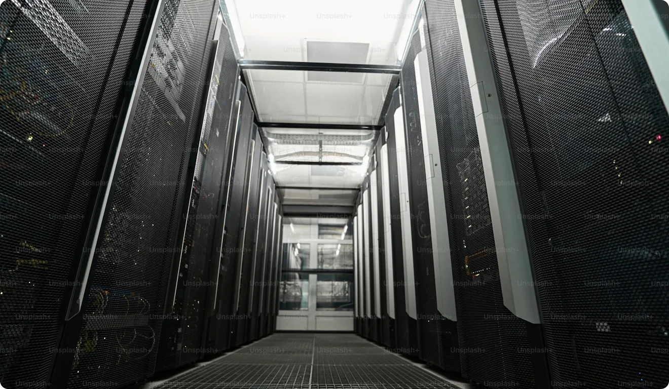 Websites 7 elementor website hosting by tomfransen media