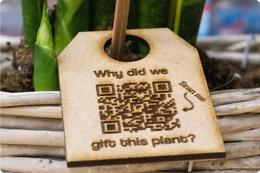 Afstudeerproject 3 digital sustainability plant gift by tomfransen media