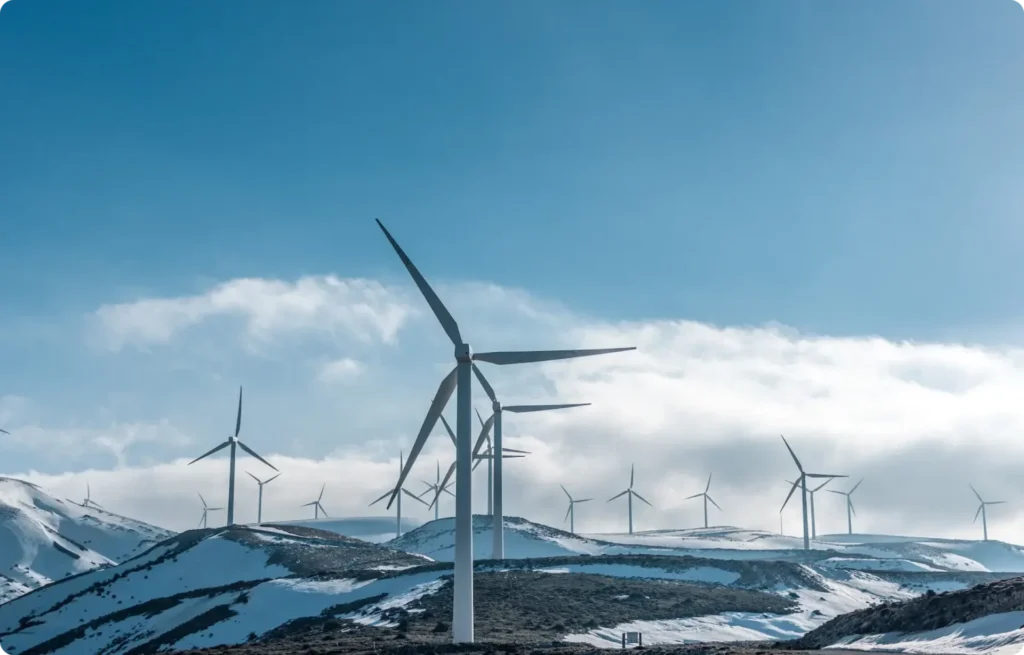 digital sustainability within websites by tomfransen media